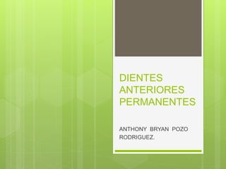DIENTES
ANTERIORES
PERMANENTES
ANTHONY BRYAN POZO
RODRIGUEZ.
 