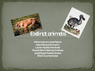 Extinct animals Marco Antonio López Rojano Isaac Palacios De Aquino Leonel Hipólito Hernández Ricardo Brian Martínez Contreras Jorge Miguel Rueda Carrasco Efrén Cruz Hernández 