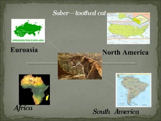 South  America Euroasia Africa Saber – toothed cat North America 
