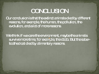 CONCLUSION Our conclusion is that the extinct animals died by different reasons, for example, the human, the pollution, the evolution, and a lot of more reasons. We think if we care the environment, maybe the animals survive more time, for example, the dodo. But the saber-toothed cat died by alimentary reasons. 