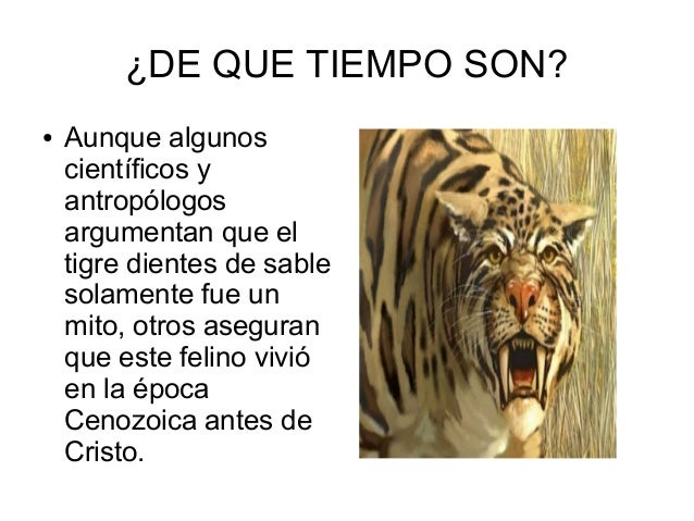 Dientes De Sable