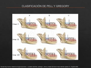 DIENTES INCLUIDOS 2025.pptx......................... | PPTX