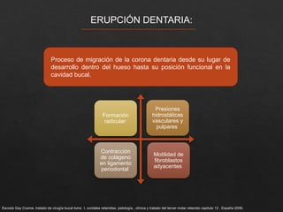 DIENTES INCLUIDOS 2025.pptx......................... | PPTX