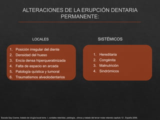 DIENTES INCLUIDOS 2025.pptx......................... | PPTX