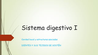 Sistema digestivo I
Cavidad bucal y estructuras asociadas
DIENTES Y SUS TEJIDOS DE SOSTÉN
 