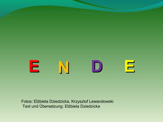 E

N

D

Fotos: Elżbieta Dziedzicka, Krzysztof Lewandowski
Text und Übersetzung: Elżbieta Dziedzicka

E

 