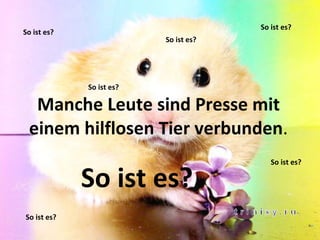 Manche Leute sind Presse mit einem hilflosen Tier verbunden . So ist es? So ist es? So ist es? So ist es? So ist es? So ist es? So ist es? 