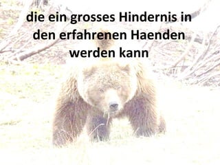die ein grosses Hindernis in den erfahrenen Haenden werden kann 