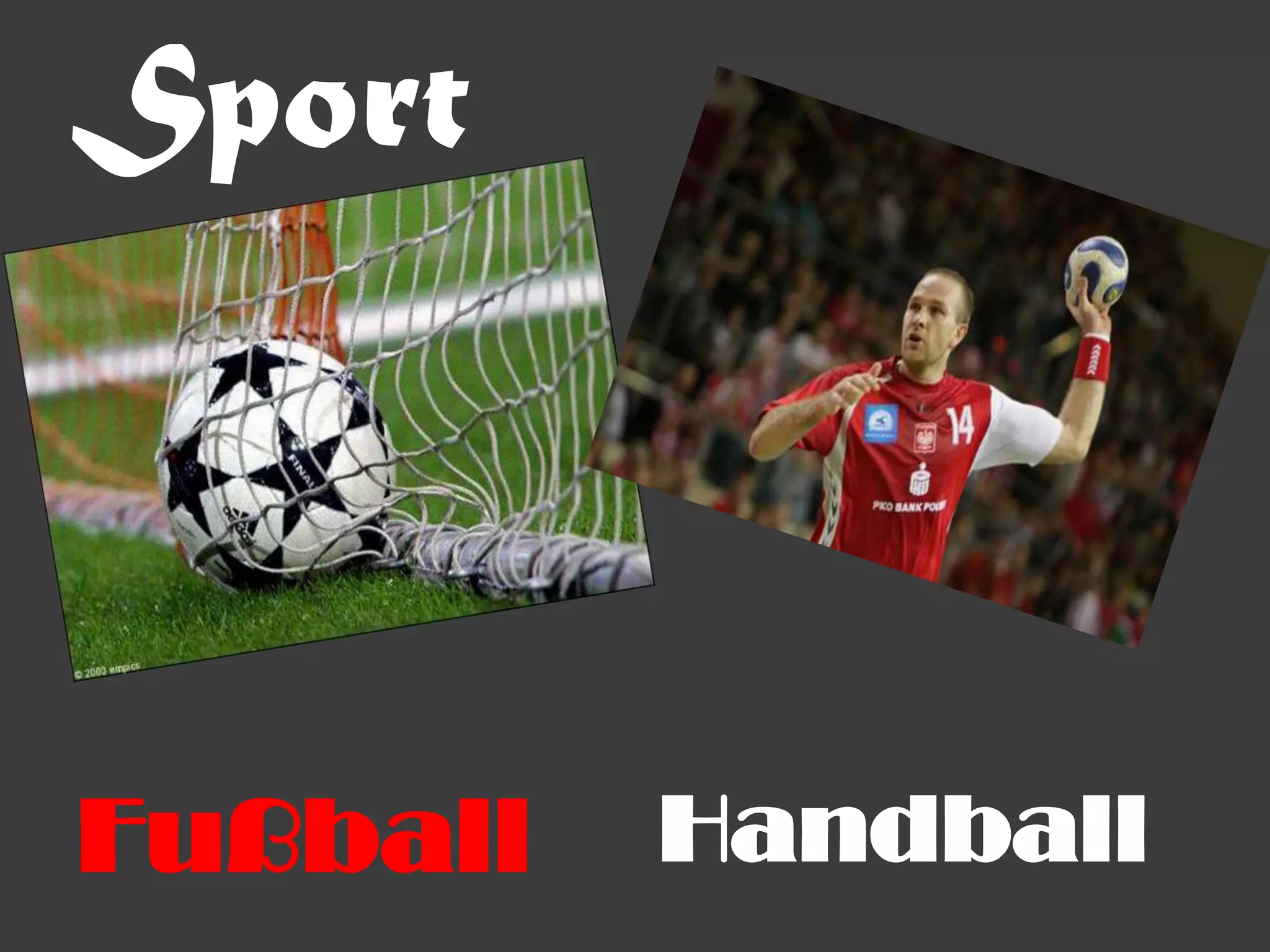 Sport



Fußball   Handball
 