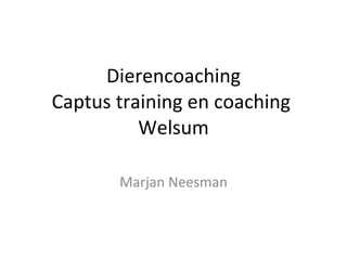 Dierencoaching Captus training en coaching  Welsum Marjan Neesman 