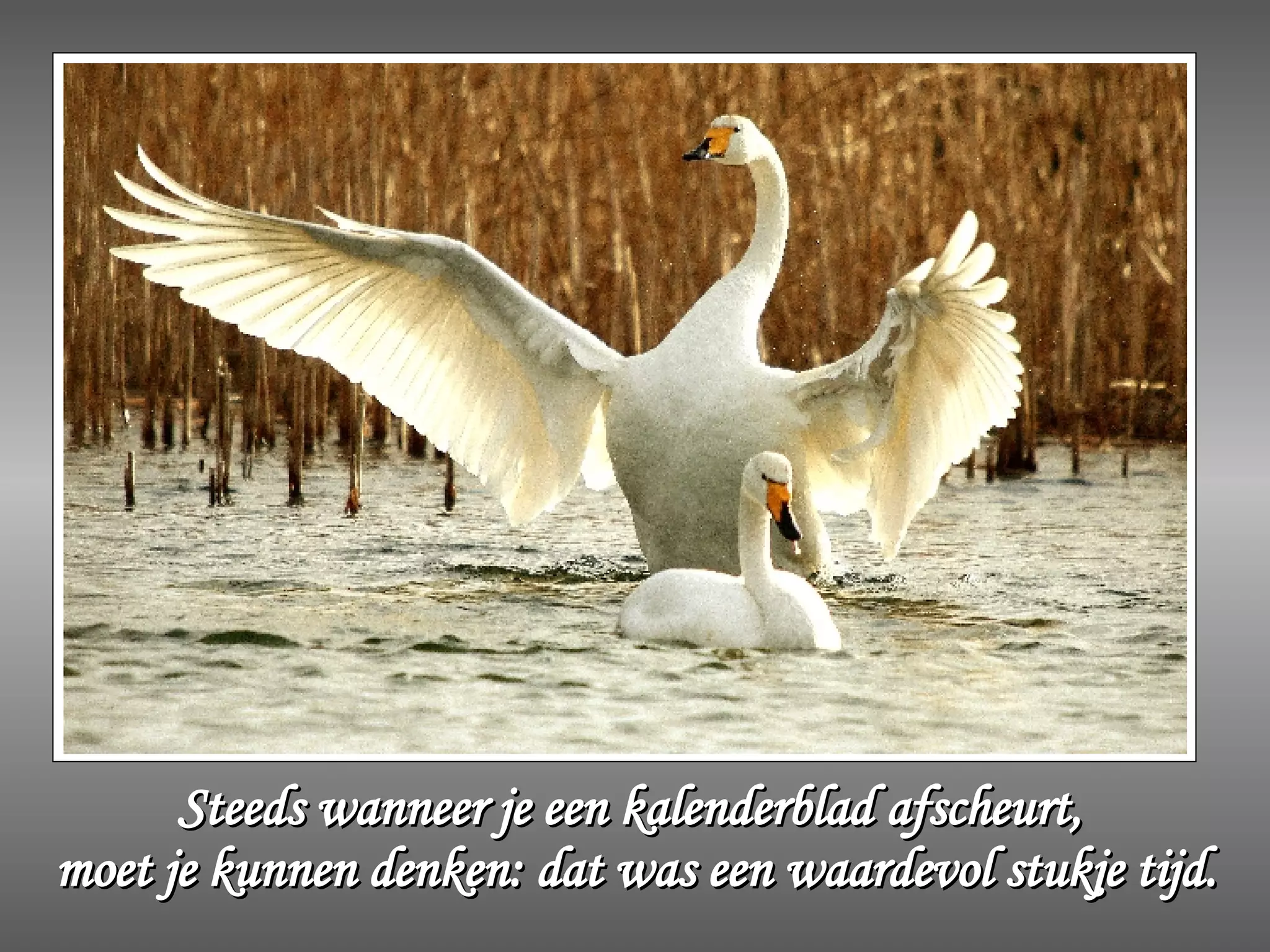 Steeds wanneer je een kalenderblad afscheurt,  moet je kunnen denken: dat was een waardevol stukje tijd. 