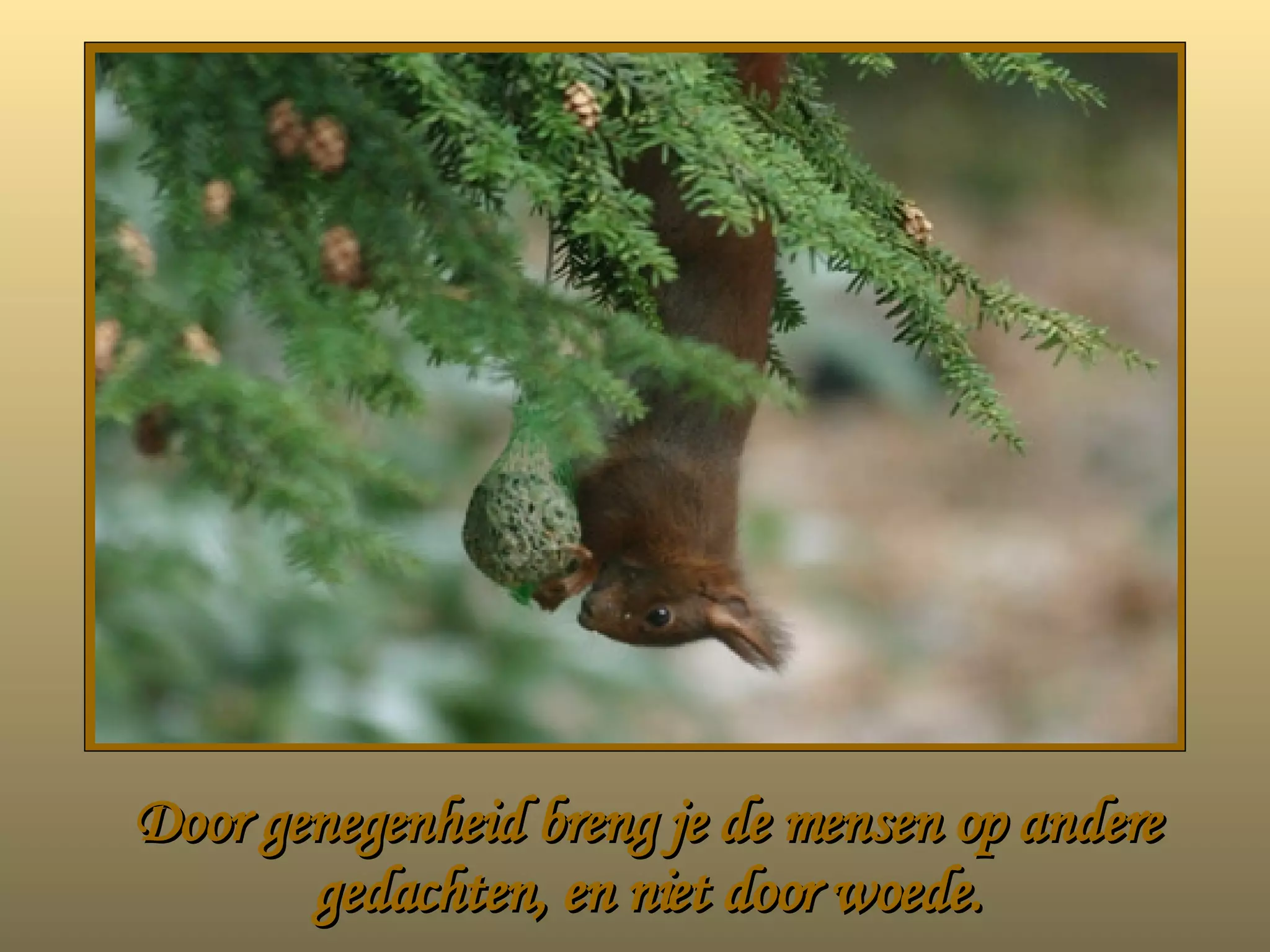 Door genegenheid breng je de mensen op andere gedachten, en niet door woede. 