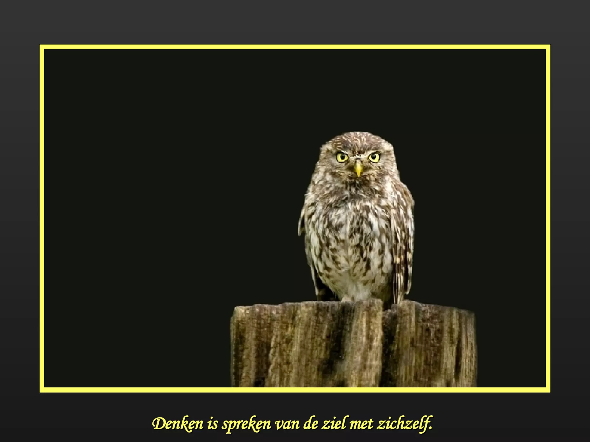 Denken is spreken van de ziel met zichzelf. 