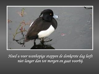 Hoed u voor wanhopige stappen de donkerste dag leeft niet langer dan tot morgen en gaat voorbij. 