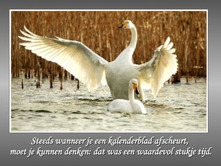 Steeds wanneer je een kalenderblad afscheurt,  moet je kunnen denken: dat was een waardevol stukje tijd. 