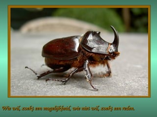 Wie wil, zoekt een mogelijkheid, wie niet wil, zoekt een reden. 