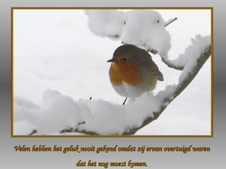 Velen hebben het geluk nooit gekend omdat zij ervan overtuigd waren dat het nog moest komen. 