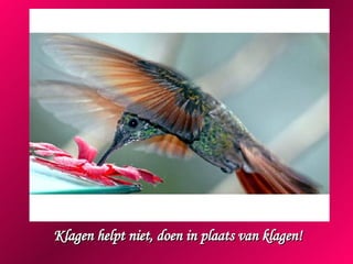 Klagen helpt niet, doen in plaats van klagen! 