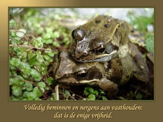 Volledig beminnen en nergens aan vasthouden: dat is de enige vrijheid. 