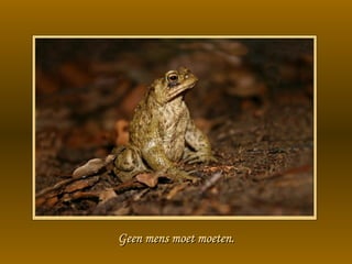 Geen mens moet moeten. 