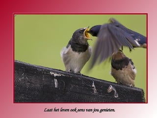 Laat het leven ook eens van jou genieten. 