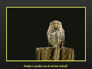 Denken is spreken van de ziel met zichzelf. 