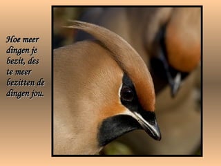 Hoe meer dingen je bezit, des te meer bezitten de dingen jou. 