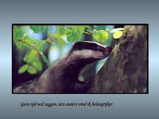 Geen tijd wil zeggen, iets anders vind ik belangrijker. 