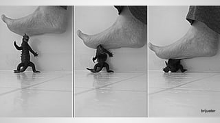 Die Ritter des Aluhuts