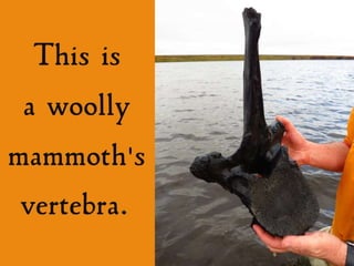 Grammar Boot Camp 1 : Map & Grammar