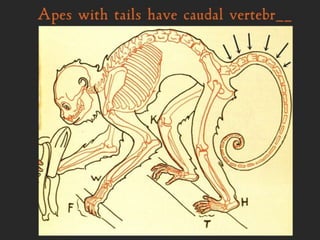 Grammar Boot Camp 1 : Map & Grammar