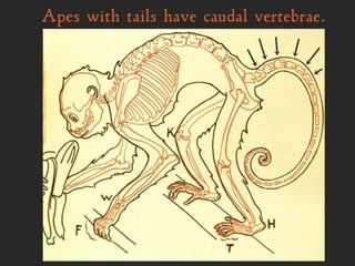 Grammar Boot Camp 1 : Map & Grammar