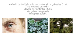 Amb ulls de fred i plens de vent contemplo la gebrada a l'hort
i la metàl·lica teranyina
clavada als muntants de fusta
del galliner que guarda
l'escapadís aviram.
 