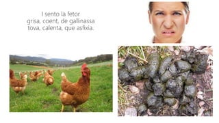 I sento la fetor
grisa, coent, de gallinassa
tova, calenta, que asfixia.
 