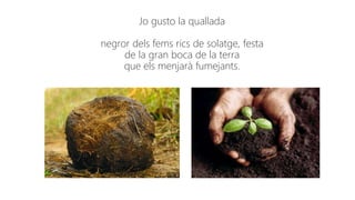 Jo gusto la quallada
negror dels fems rics de solatge, festa
de la gran boca de la terra
que els menjarà fumejants.
 