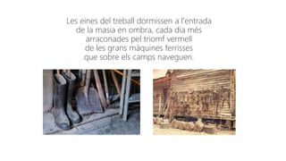 Les eines del treball dormissen a l'entrada
de la masia en ombra, cada dia més
arraconades pel triomf vermell
de les grans màquines ferrisses
que sobre els camps naveguen.
 