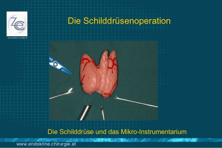 Die Schilddrüse