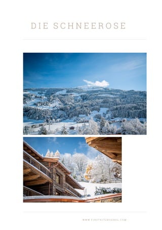 D I E S C H N E E R O S E
W W W . F I R S T K I T Z B U E H E L . C O M
 