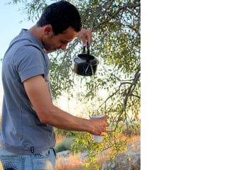 Die schönheit Von Palästinas