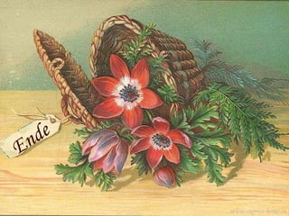 Ende www.caprice-home.eu 