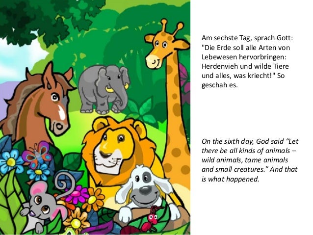 ausmalbilder schöpfung