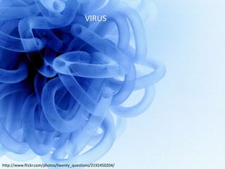 VIRUS




http://www.flickr.com/photos/twenty_questions/2192450204/
 
