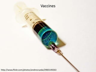 Vaccines




http://www.flickr.com/photos/andresrueda/2983149263
 