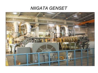 NIIGATA GENSET

 