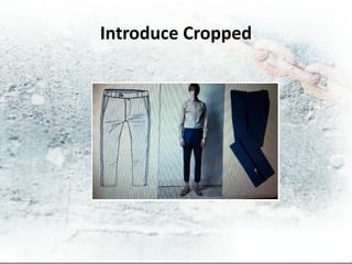 Introduce Cropped
 