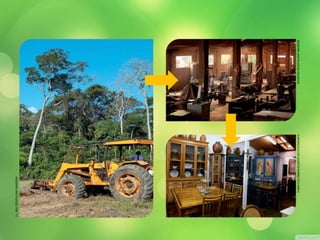 J.L. BULCÃO/PULSAR IMAGENS 
FABIO COLOMBINI/ACERVO DO FOTÓGRAFO ROGÉRIO REIS/PULSAR IMAGENS 
 