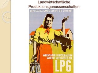 Landwirtschaftliche
Produktionsgenossenschaften
 