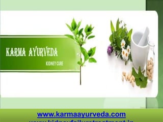 www.karmaayurveda.com
 