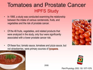 2006
Tomatoes and Prostate Cancer
HPFS Study
• In 1995, a study was conducted examining the relationship
between the intake of various carotenoids, fruits, and
vegetables and the risk of prostate cancer.
• Of the 46 fruits, vegetables, and related products that
were analyzed in the study, only four were significantly
associated with a lower prostate cancer risk.
• Of these four, tomato sauce, tomatoes and pizza sauce, but
not strawberries, were primary sources of lycopene.
Plant Physiology. 2002; 130: 1077-1078.
 
