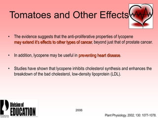 2006
Tomatoes and Other Effects
• The evidence suggests that the anti-proliferative properties of lycopene
may extend it’s effects to other types of cancer, beyond just that of prostate cancer.
• In addition, lycopene may be useful in preventing heart disease.
• Studies have shown that lycopene inhibits cholesterol synthesis and enhances the
breakdown of the bad cholesterol, low-density lipoprotein (LDL).
Plant Physiology. 2002; 130: 1077-1078.
 